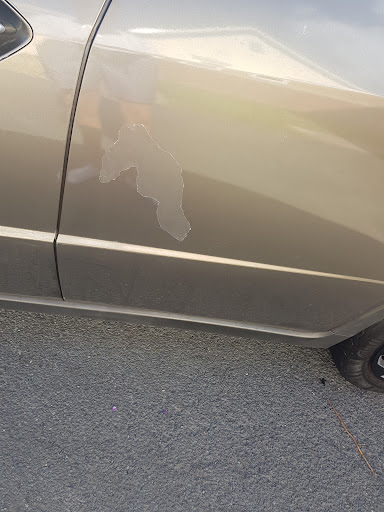 Carbody - Visual