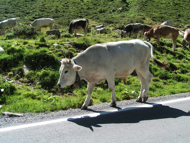 Silvretta Hochalpenstraße
