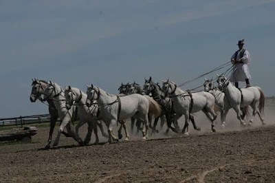 Photos of Kalocsa Korona Tours