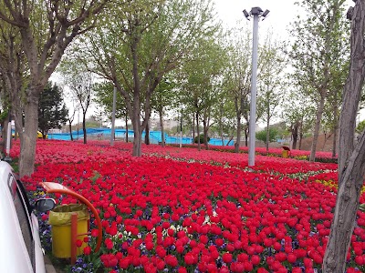 Photos of بوستان زندگی