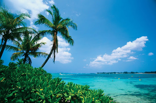 Joyner Travels
