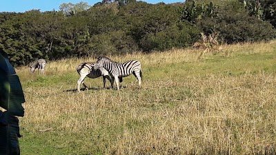 Photos of Kenneth Stainbank Nature Reserve