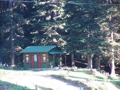 DOĞAL _ PARK