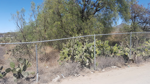 stattus men's club