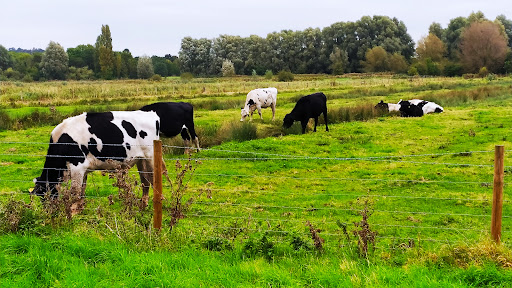 Cornmill Meadows Car Park - Thumbnail
