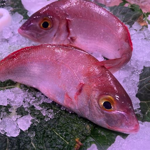 PEIXOSANDRA - Visual