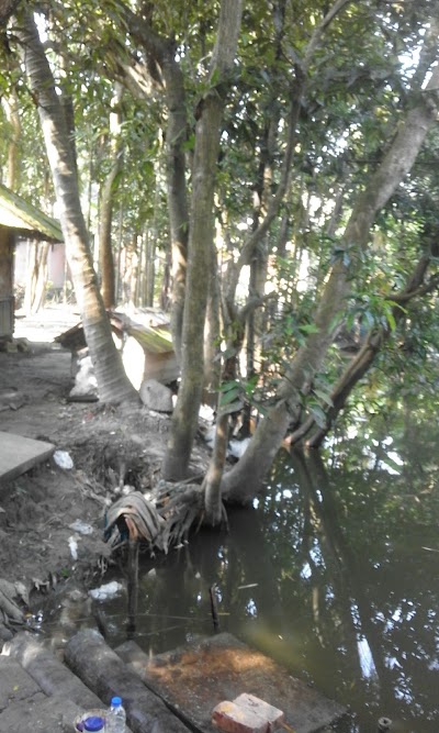 Photos of Kalamiar Pool