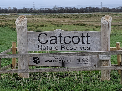 Catcott Complex Nature Reserve - Thumbnail