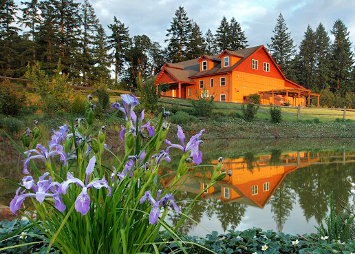 Winter's Hill Estate by null