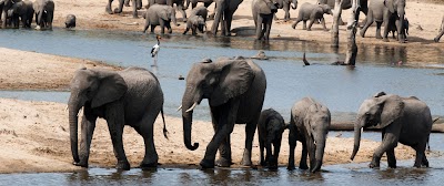 Photos of Siyabona Africa
