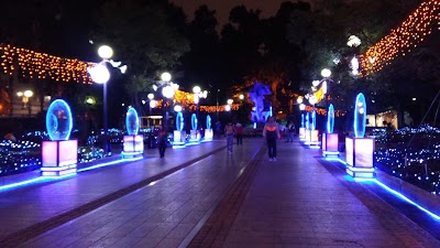 Photos of Camoes Garden