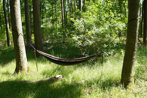 Waldbaden im Taunus