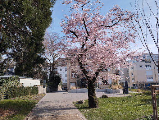 Haganderpark - Visual
