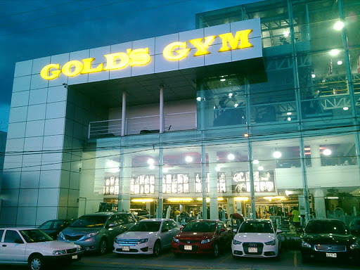 Gold's Gym Aguascalientes - Thumbnail