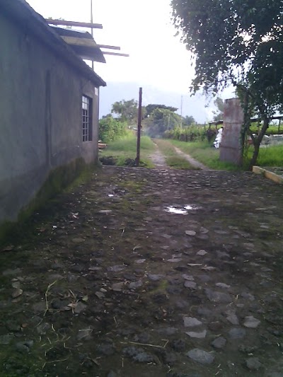 Photos of Escuela Superior de Educaci&oacute;n F&iacute;sica de Orizaba (E.S.E.F.O)