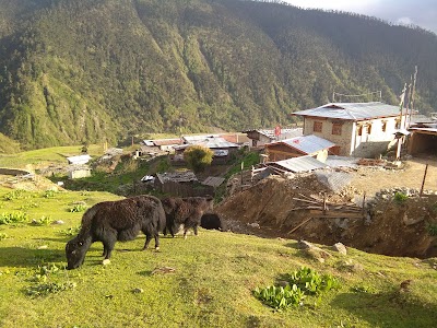 Photos of Merak School