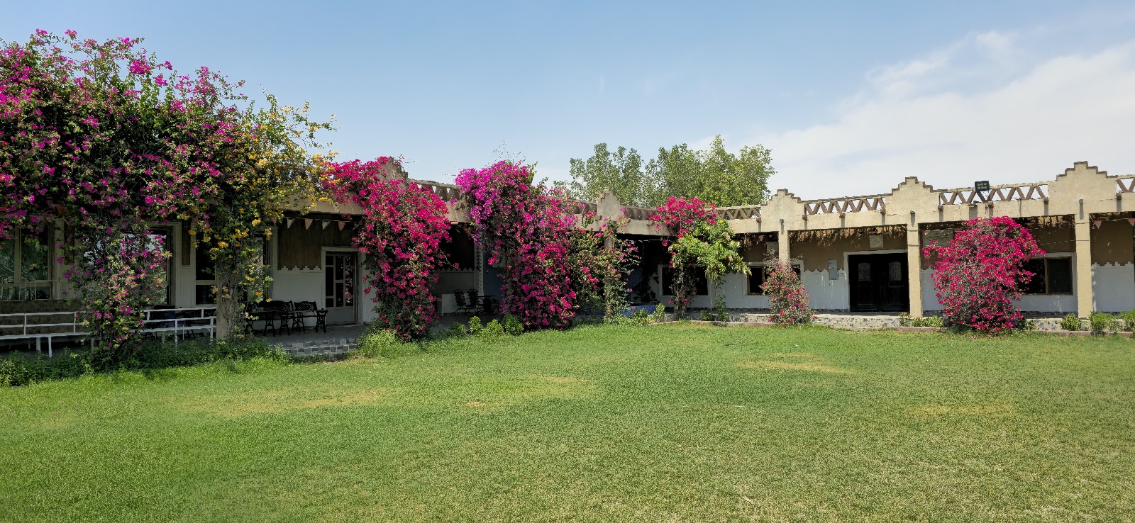 مزرعة دار النخيل - صورة 2