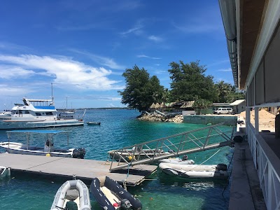 Photos of Shoreline Dock