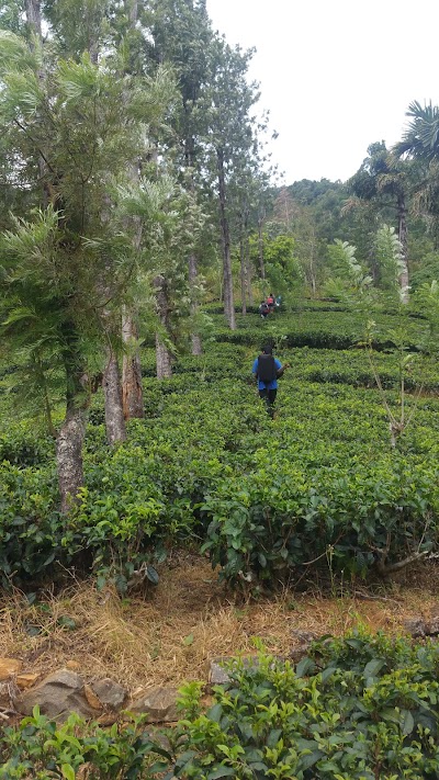 Photos of Hawagala