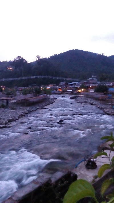 Photos of Bukit Lawang Orangutan Guide