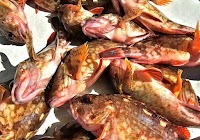 居酒屋 湾ONE碗 (わんわんわん)