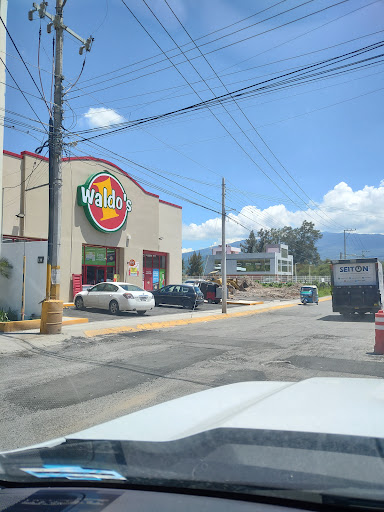 Waldo's Centro - Visual