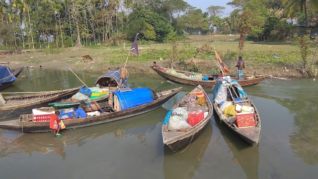 Sundarbans