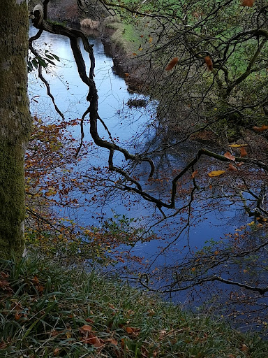 Henllan Bridge - Thumbnail