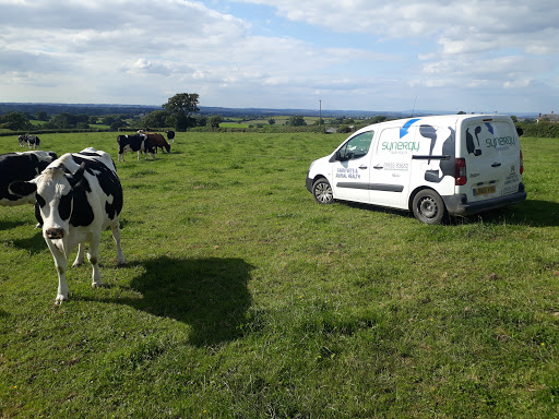 Synergy Farm Health Vets - Thumbnail