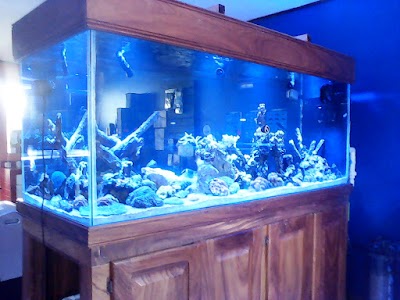 Photos of Su Acuario Marino
