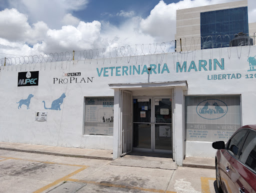 VETERINARIA MARIN (CENTRO)