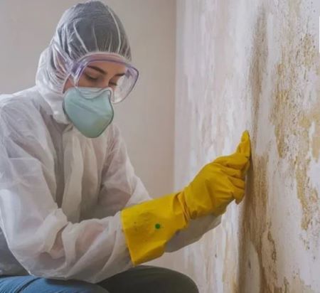 Quick Water Damage Restoration Services photo