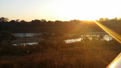 Photos of Lionspruit Game Reserve