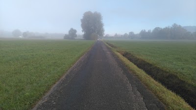 Photos of Mostschenke M&ouml;cklebur
