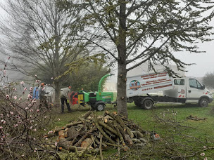 Photo n°21 de A BOUT DE BRANCHE à Allan (Pépinière)