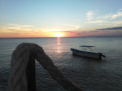 Photos of Glamping Cueva De Las Aguilas