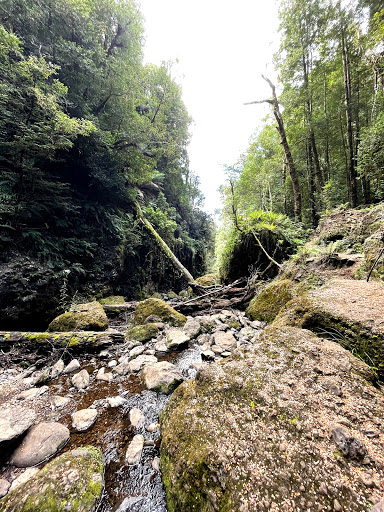 Champagne Falls - Thumbnail