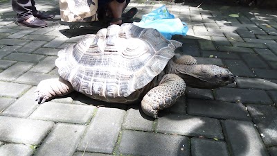 Photos of Gembira Loka Zoo