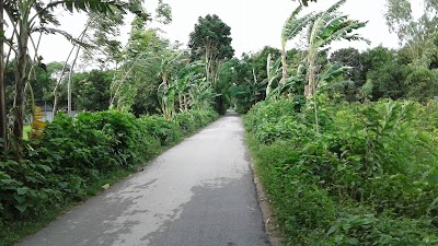 lodging