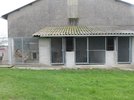 Pension, toilettage, élevage et éducation canin De la foret noir et feu - Thumbnail
