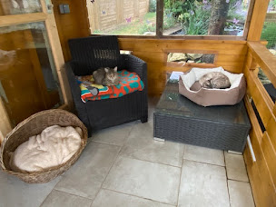 Photo n°10 de Lévriers & Compagnie à Charron (Association pour la protection des animaux)