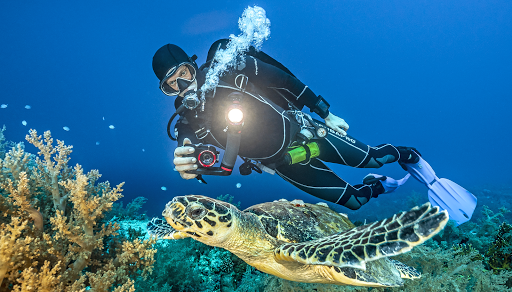 SeaLife Underwater Cameras