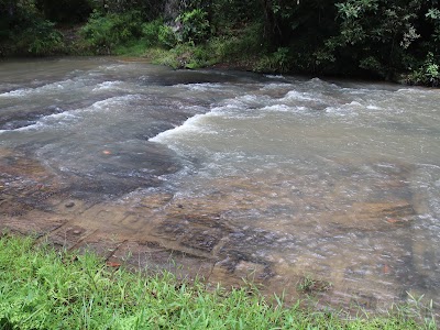 Photos of 1000 Lingas