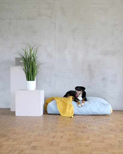 BUDDY. Hundezubehör