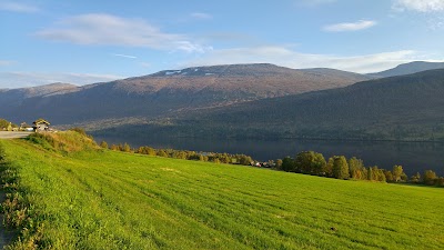 Photos of B&aring;rdsgarden