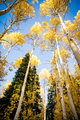 Hams Fork Campground - Thumbnail
