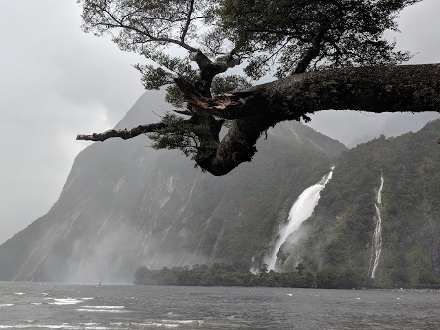 Milford Sound Lookout