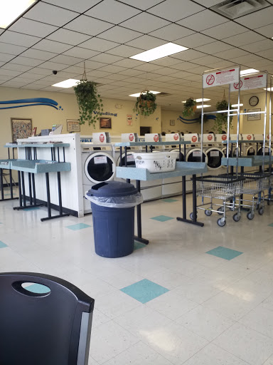 Jackpot Laundry - Visual