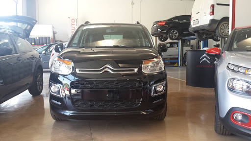 Enneauto Srl - Visual