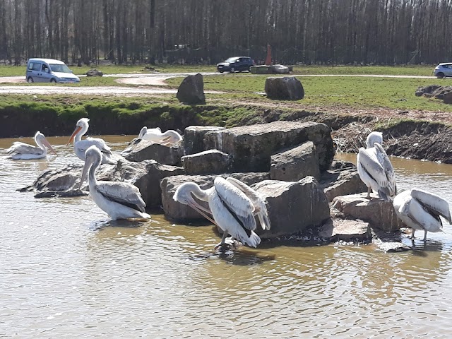 Safari Parc Monde Sauvage